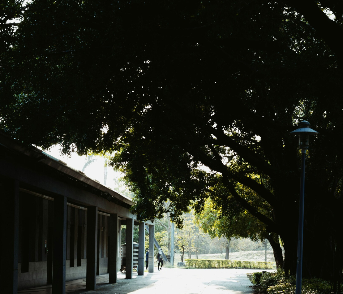 mengukir-prestasi-dengan-visi-lingkungan-di-semaranag